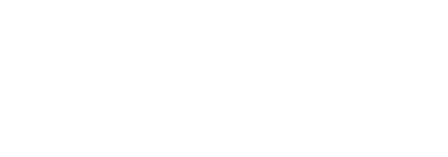 Lemberg Solutions logo